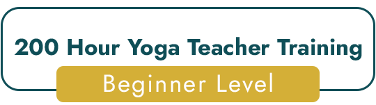200 Hour Yoga Teacher Training Course(YTTC)